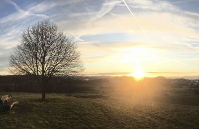 Morgendliches Uster West 2020-13