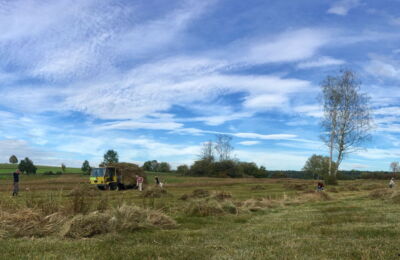 Rietpflege - Panorama Werrikerriet