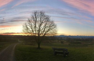 Morgendliches Uster West 2020-05