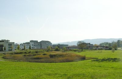 Visualisierung D - Viadukt ab Glattenriedweg